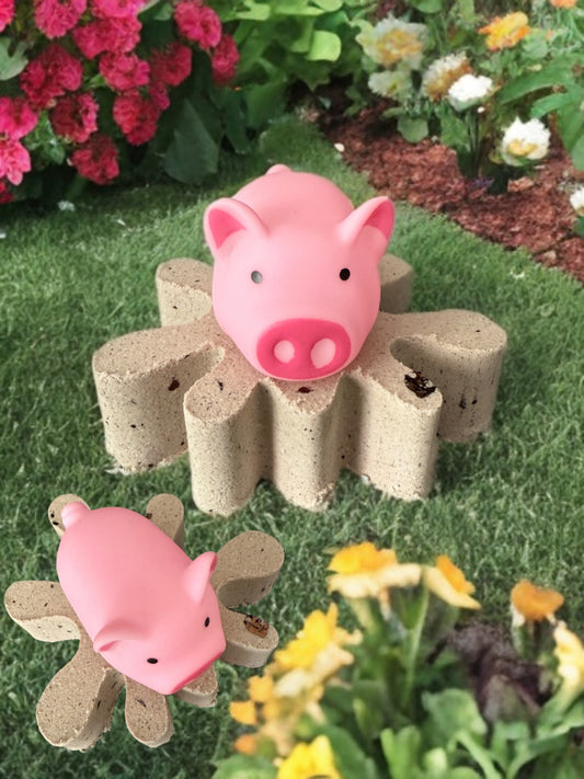 Little Piggy